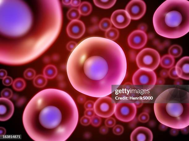 celle sotto microscopio - cellula umana foto e immagini stock