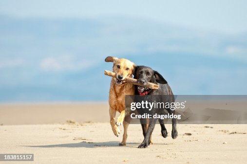 Teamwork Teamwork