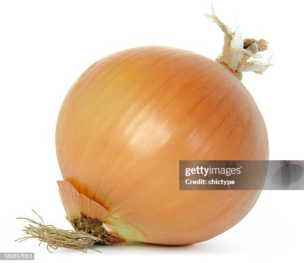 onion - zwiebel stock-fotos und bilder