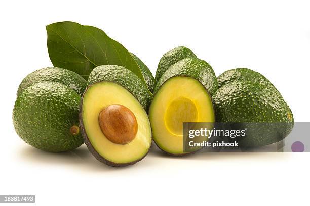 avocadosorte avocados - avocado isolated stock-fotos und bilder