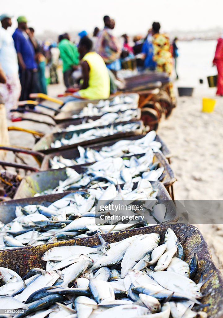 Fresh fish for sale at african beach