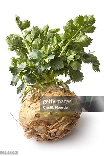 vegetables: celeriac isolated on white background - celeriac stockfoto's en -beelden