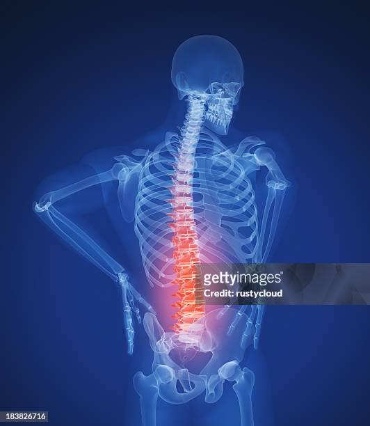 back pain - skeleton stock pictures, royalty-free photos & images