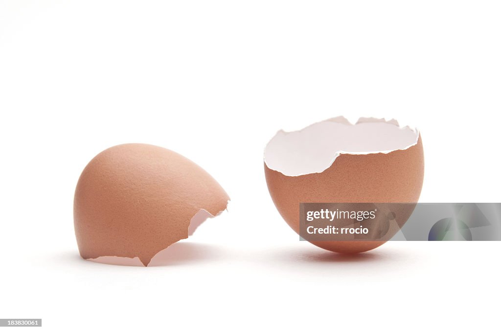 Egg shell