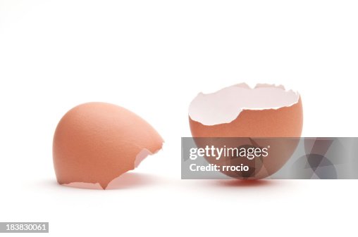Egg shell Egg shell