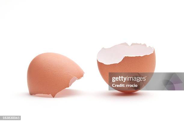 egg shell - broken egg bildbanksfoton och bilder