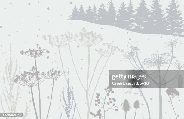 winter countryside scene with wildflowers - sheep sorrel stock illustrations