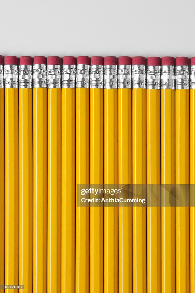 Line of yellow pencils with red rubbers attached to ends