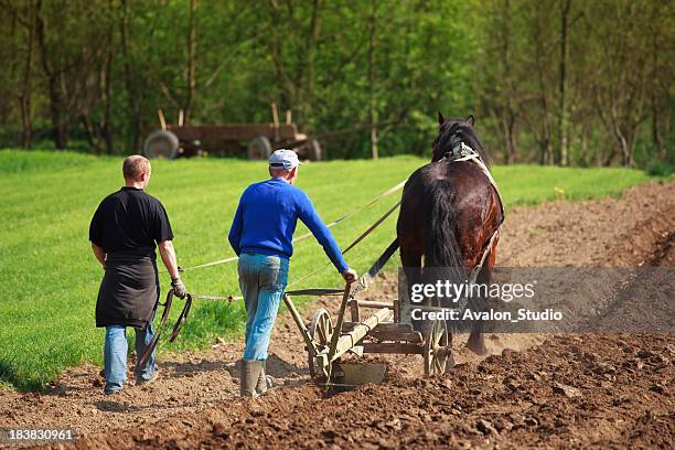 farmers plowed land horse - plowed field stock pictures, royalty-free photos & images