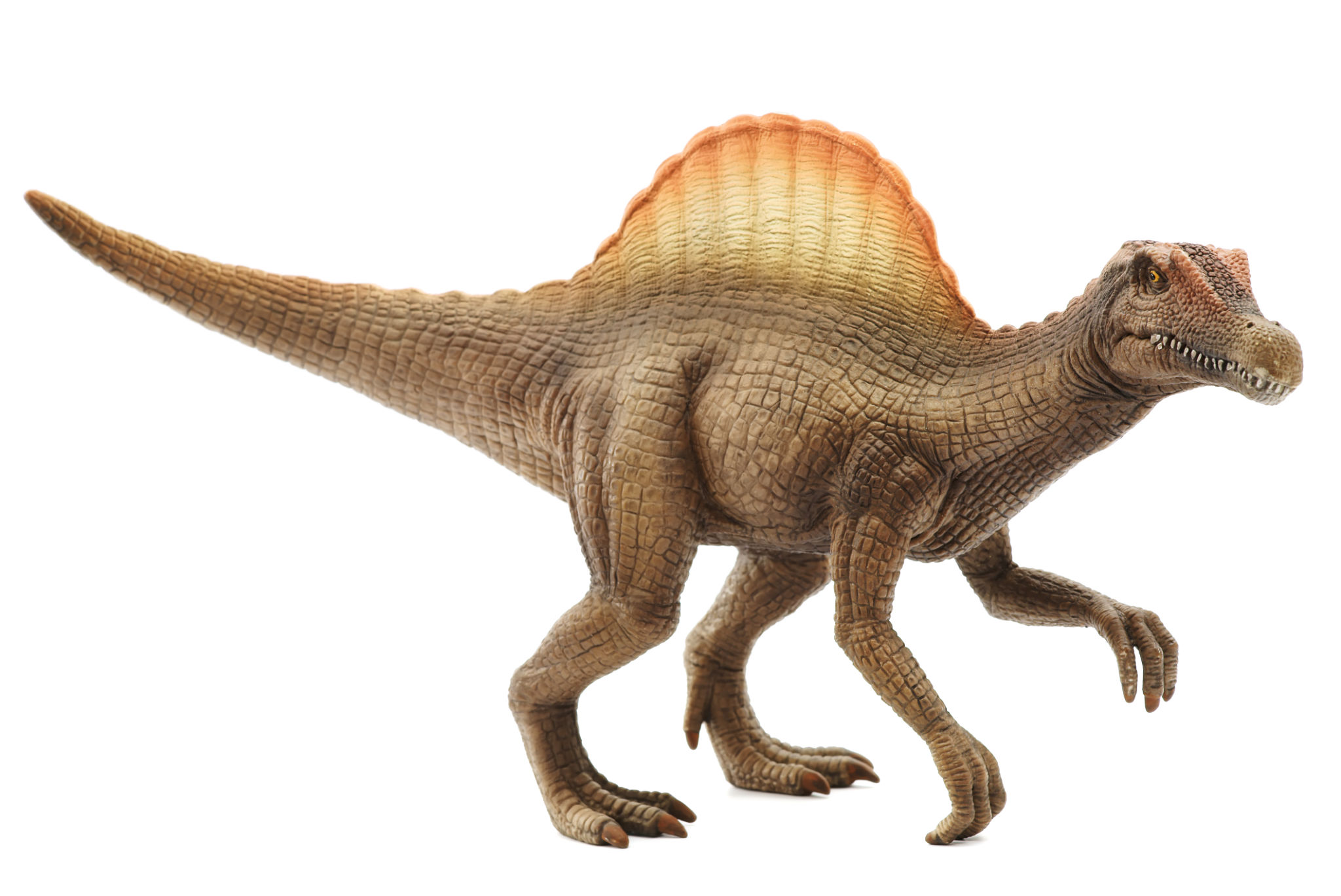 dinosaur models