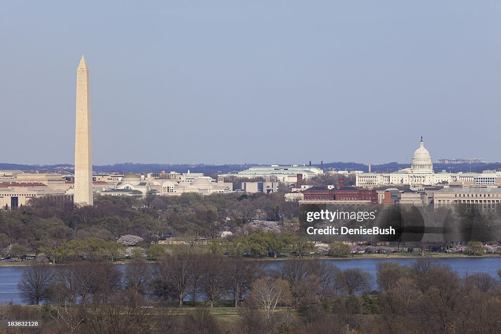 DC View