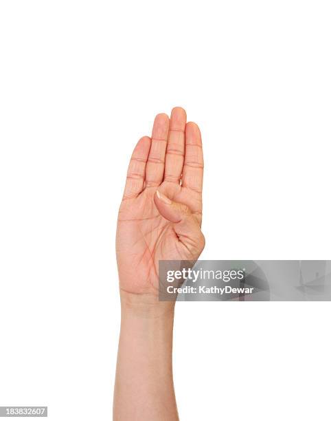 Sign For B Letter B In American Sign Language High-Res Stock Photo - Getty Images