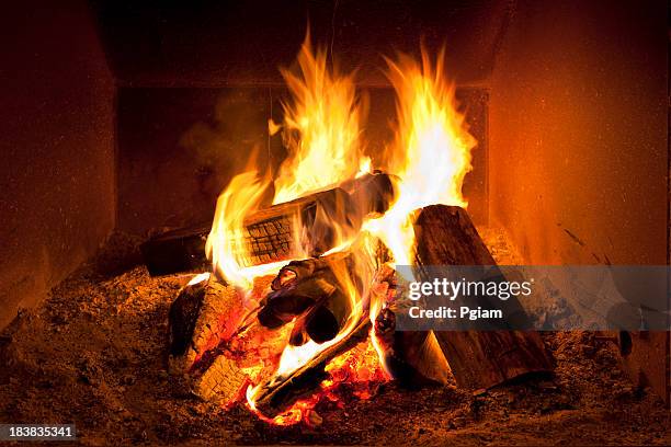 chimenea fuego en invierno - leña fotografías e imágenes de stock