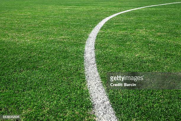 soccer field - grass texture bildbanksfoton och bilder
