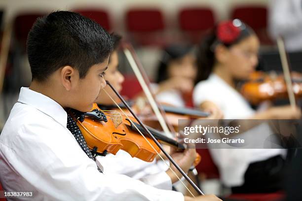 young orchestra - musical instrument string stock pictures, royalty-free photos & images