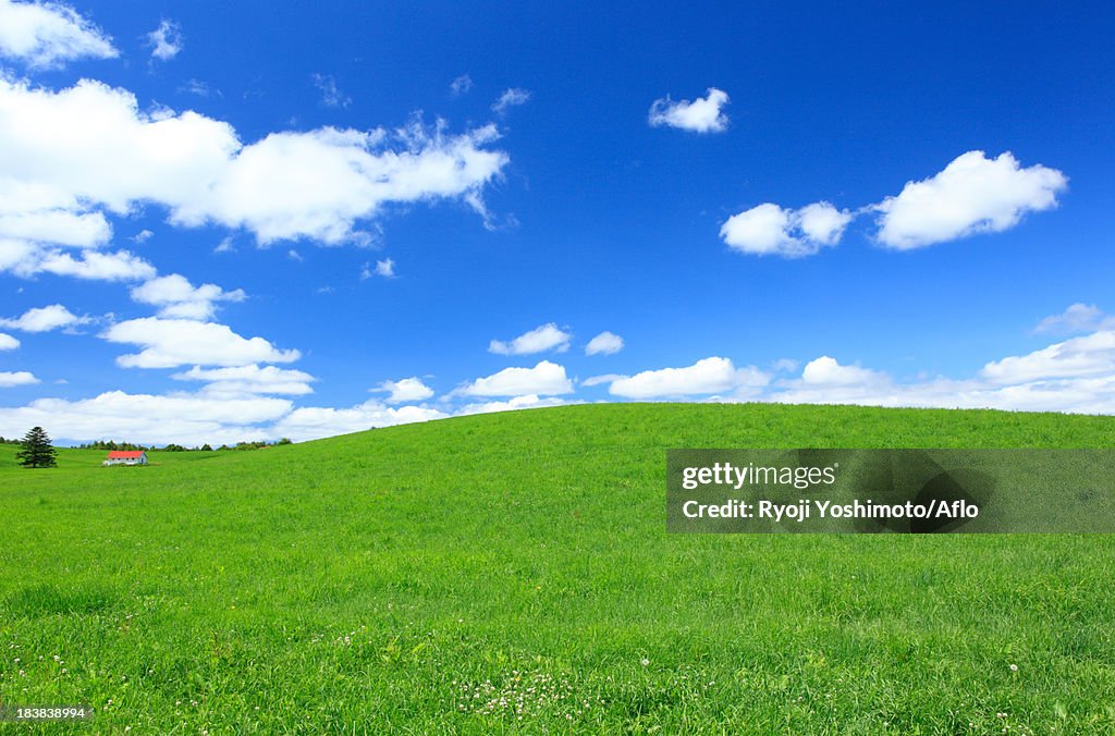 Grassland and sky with clouds, Hokkaido