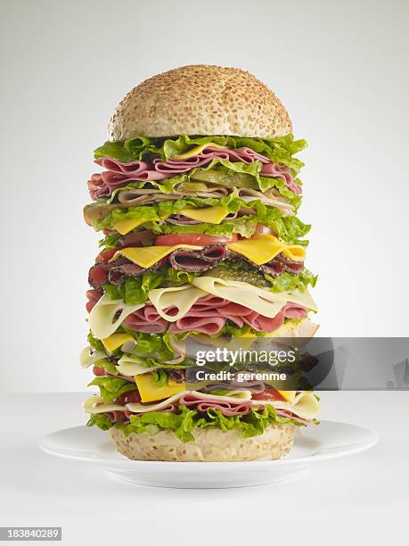 huge hamburger - large cucumber stockfoto's en -beelden