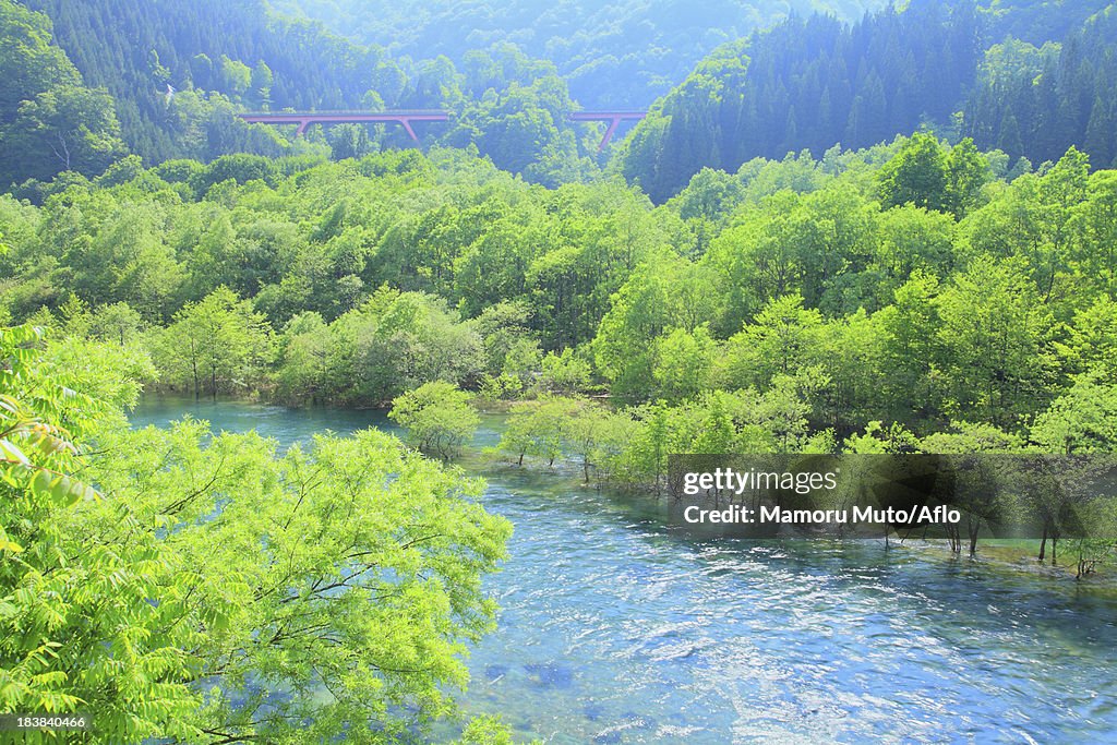 Tama river, Akita Prefecture