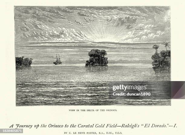 view in the delta of the orinoco river, victorian south america history 19th century - venezuelan culture stock illustrations