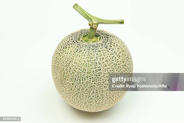 melon - muskmelon stock pictures, royalty-free photos & images