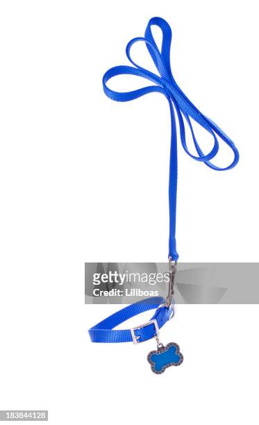 dog leash and collar - collar stock pictures, royalty-free photos & images