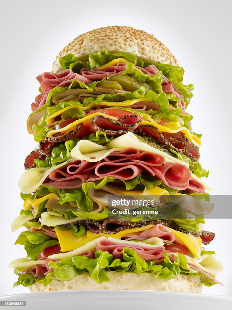 Huge Hamburger