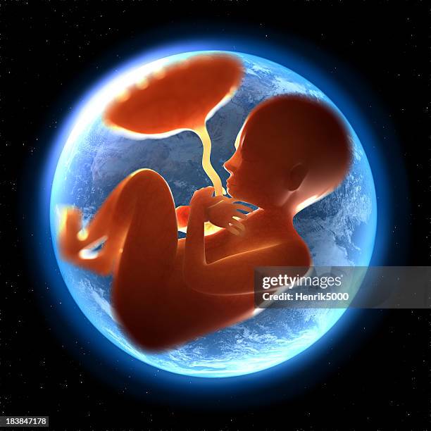 newborn child curls up inside earth - sac 個照片及圖片檔
