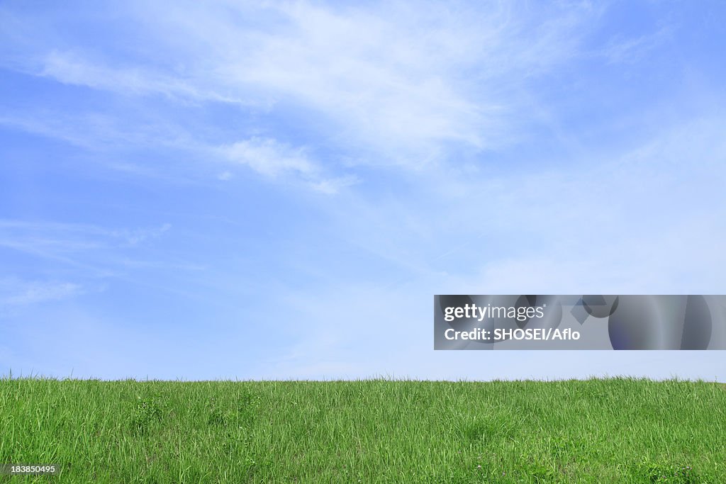 Grassland and sky with clouds