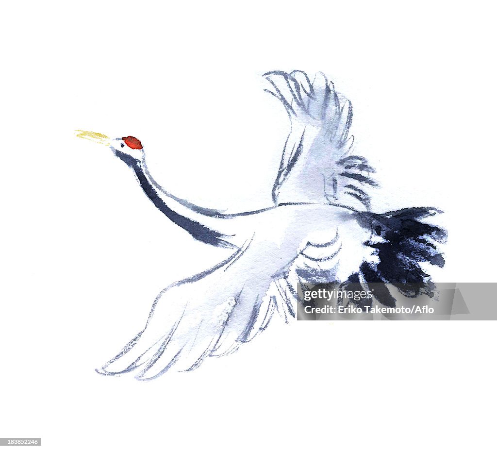 Crane illustration