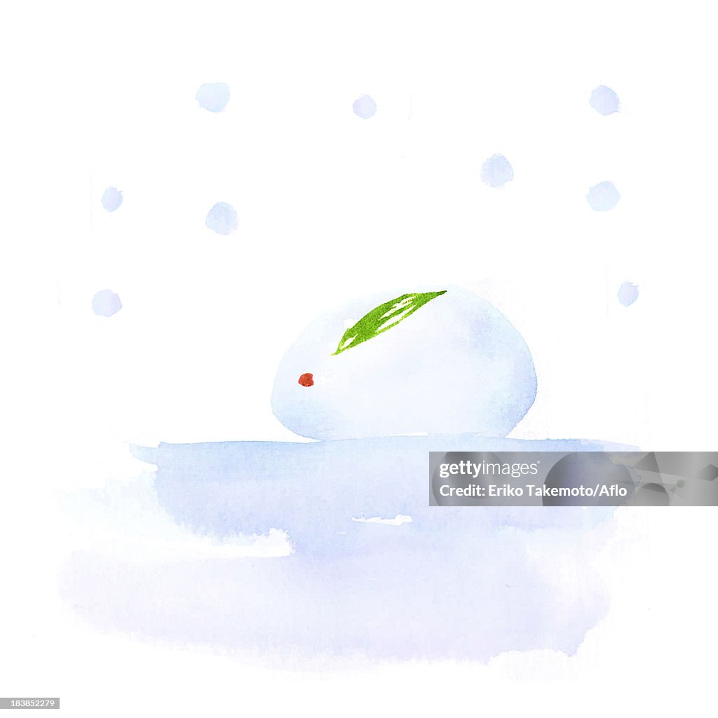 Snow rabbit illustration