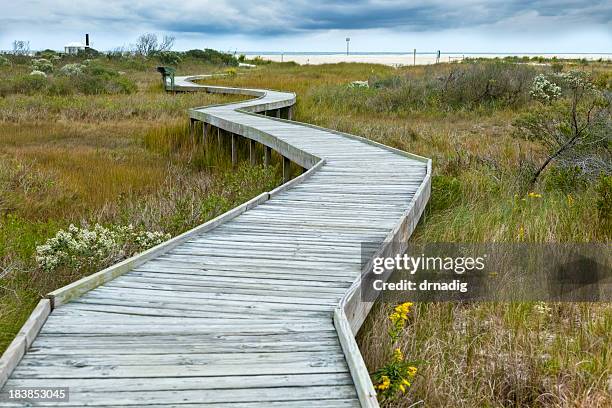 chincoteague national wildlife refuge zig-zagging boardwalk to the beach - chincoteague national wildlife reserve stockfoto's en -beelden