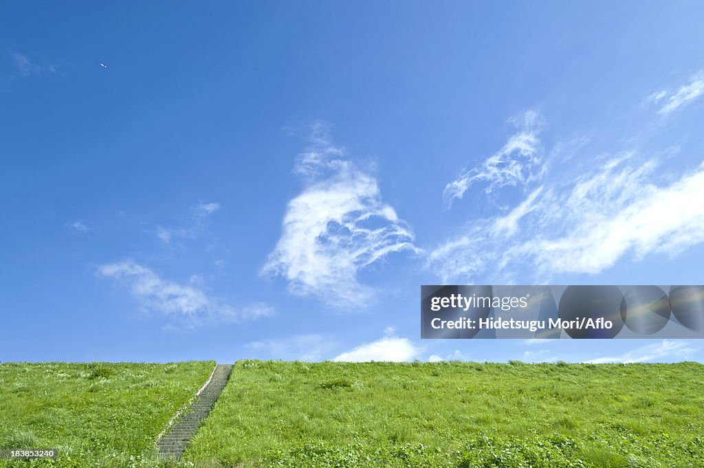 Grassland and blue sky with clouds