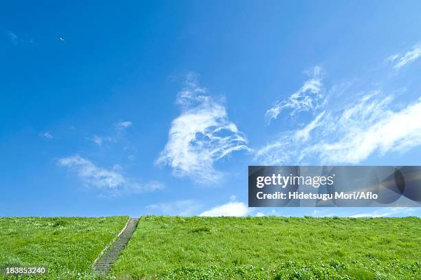 grassland and blue sky with clouds - riverbank stockfoto's en -beelden