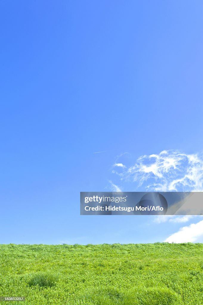 Grassland and blue sky with clouds