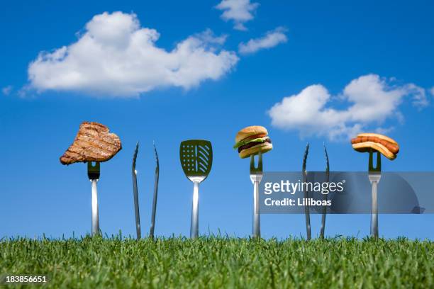 grilling out - spatula stock pictures, royalty-free photos & images
