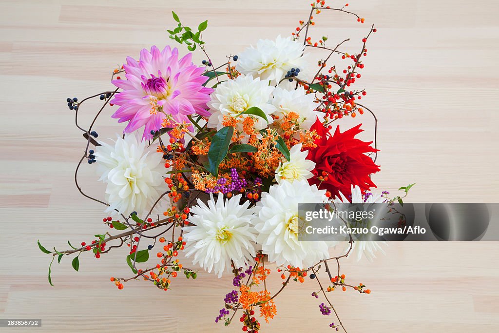 Dahlia and Bittersweet flowers in a vase