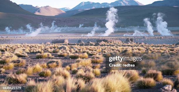 el tatio geyser field in northern chile at dawn - chile stock pictures, royalty-free photos & images
