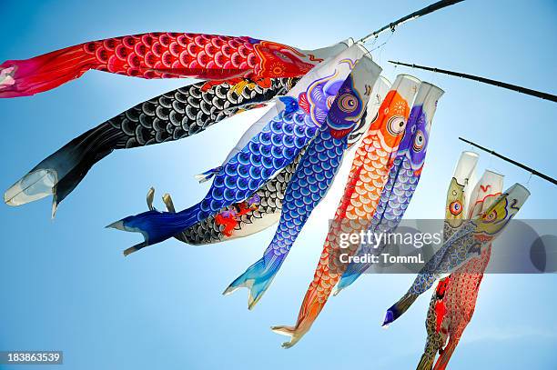 koinobori (koi shaped japanese kite) - koi carp stockfoto's en -beelden