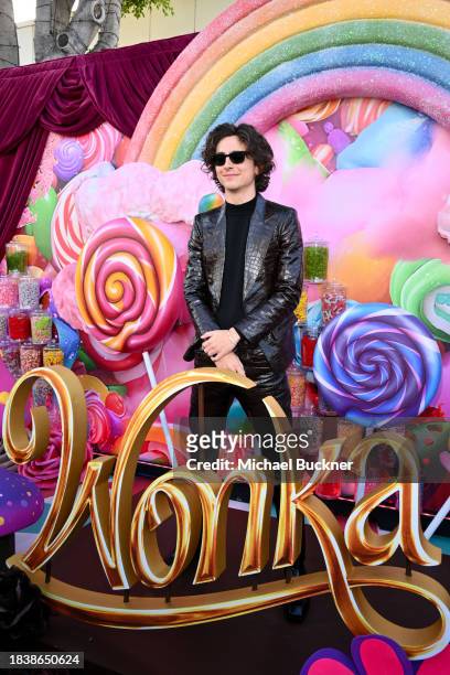 Timothée Chalamet at the premiere of "Wonka" held at Regency Village Theatre on December 10, 2023 in Los Angeles, California.