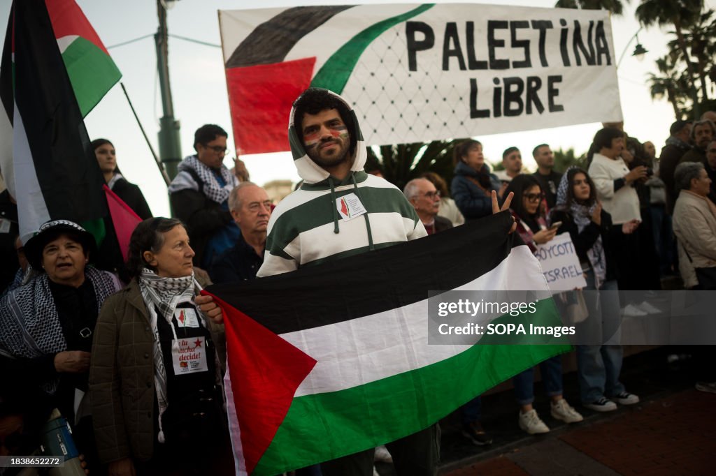 Protestet A pro-Palestine protester is seen holding a palestinian flag as he ...