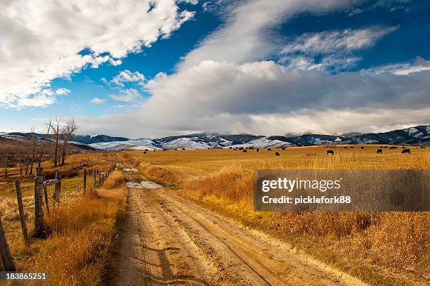 malerischen mountain road - american ranch landscape stock-fotos und bilder