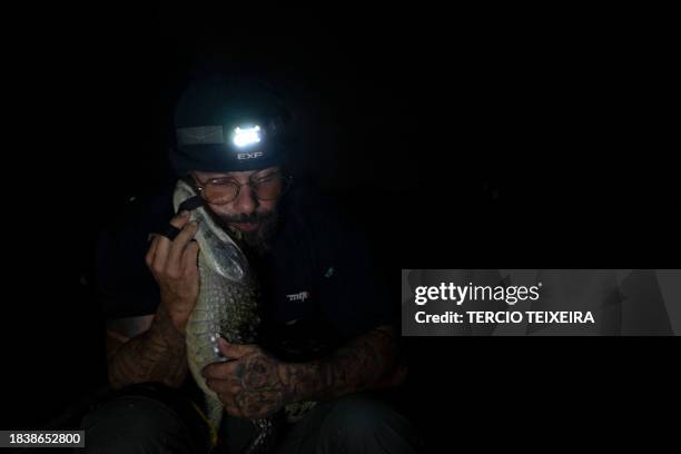 Biologist Ricardo Freitas holds a caiman in the Jacarepaguá Lagoon at the Recreio dos Bandeirantes neighborhood in west Rio de Janeiro, Brazil, on...