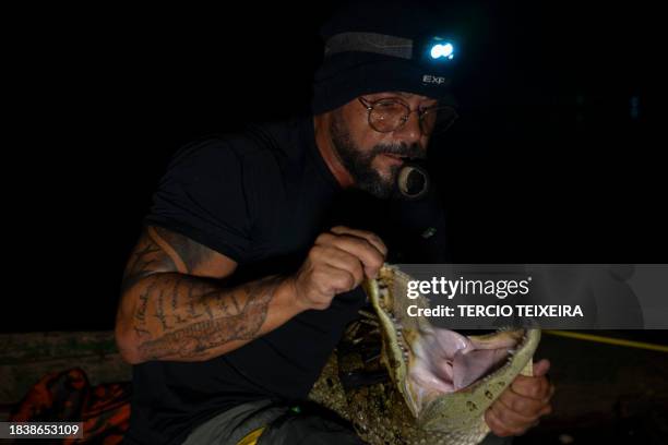 Biologist Ricardo Freitas captures a caiman in the Jacarepaguá Lagoon at the Recreio dos Bandeirantes neighborhood in west Rio de Janeiro, Brazil, on...