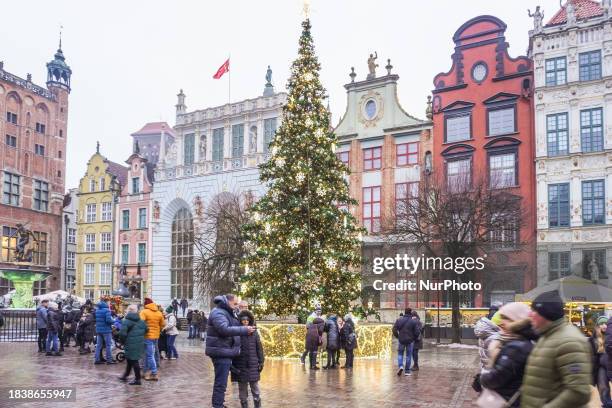 Giant Christmas tree is seen in the old town center of Gdansk, Poland, on Dluga Street near the Neptune fountain, on December 10, 2023.