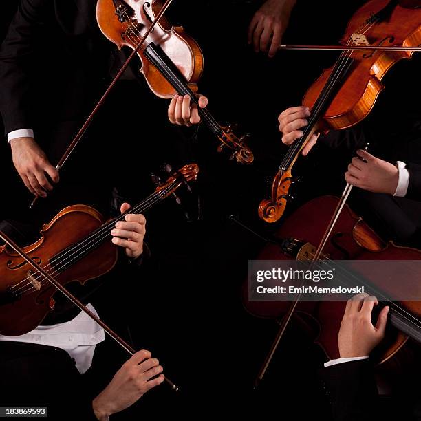 cuarteto de cuerda - musical instrument string fotografías e imágenes de stock