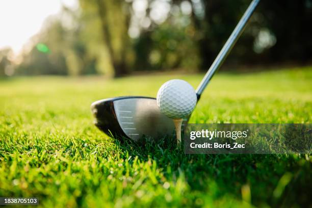 club de golf et balle de golf sur une pelouse verte dans un beau parcours de golf - banque d’images - birdie golf photos et images de collection