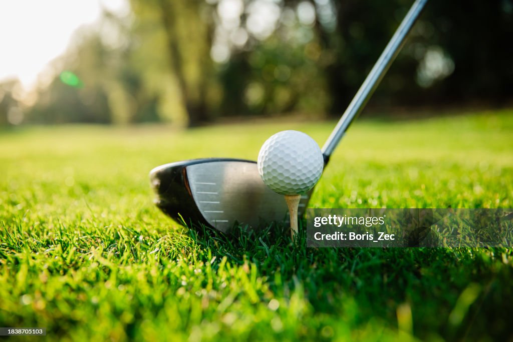 Golf club and golf ball on a green lawn in a beautiful golf course - Stock Photo