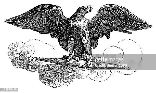 bildbanksillustrationer, clip art samt tecknat material och ikoner med aquila - roman imperial eagle - aguila imperial