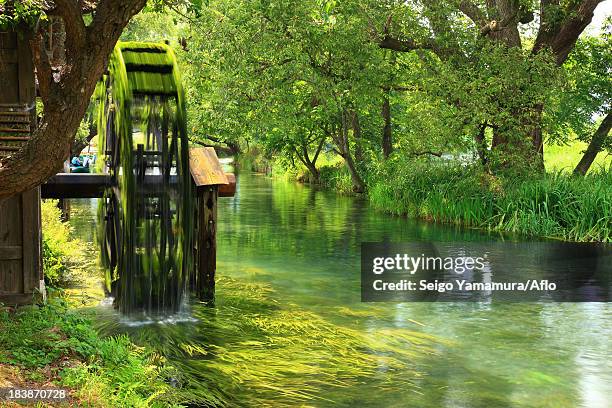 water mill by the river at daio wasabi garden, nagano prefecture - water wheel stock pictures, royalty-free photos & images