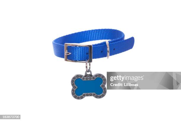 hundehalsband mit anhänger - halsbekleidung stock-fotos und bilder